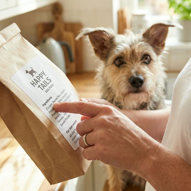 En Ucuz Köpek Maması Nasıl Seçilir? Etiket Okuma Sanatı