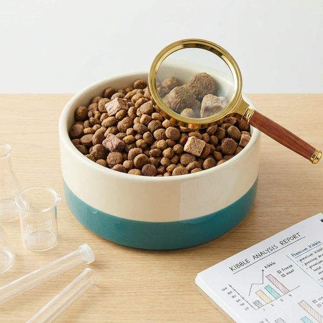 Famsy Köpek Maması İncelemesi: 2026’nın En İyi Fiyat/Performans Karşılaştırması